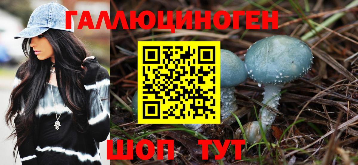 что такое наркотик  Вход с VPN  Тосно  Псилоцибиновые грибы MAGIC MUSHROOMS 
