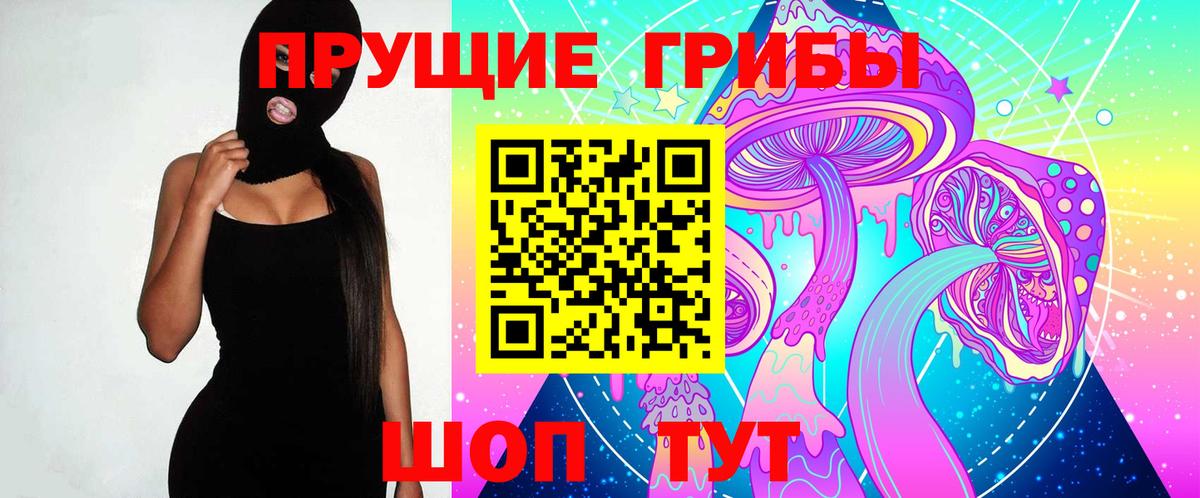 Псилоцибиновые грибы GOLDEN TEACHER Тосно